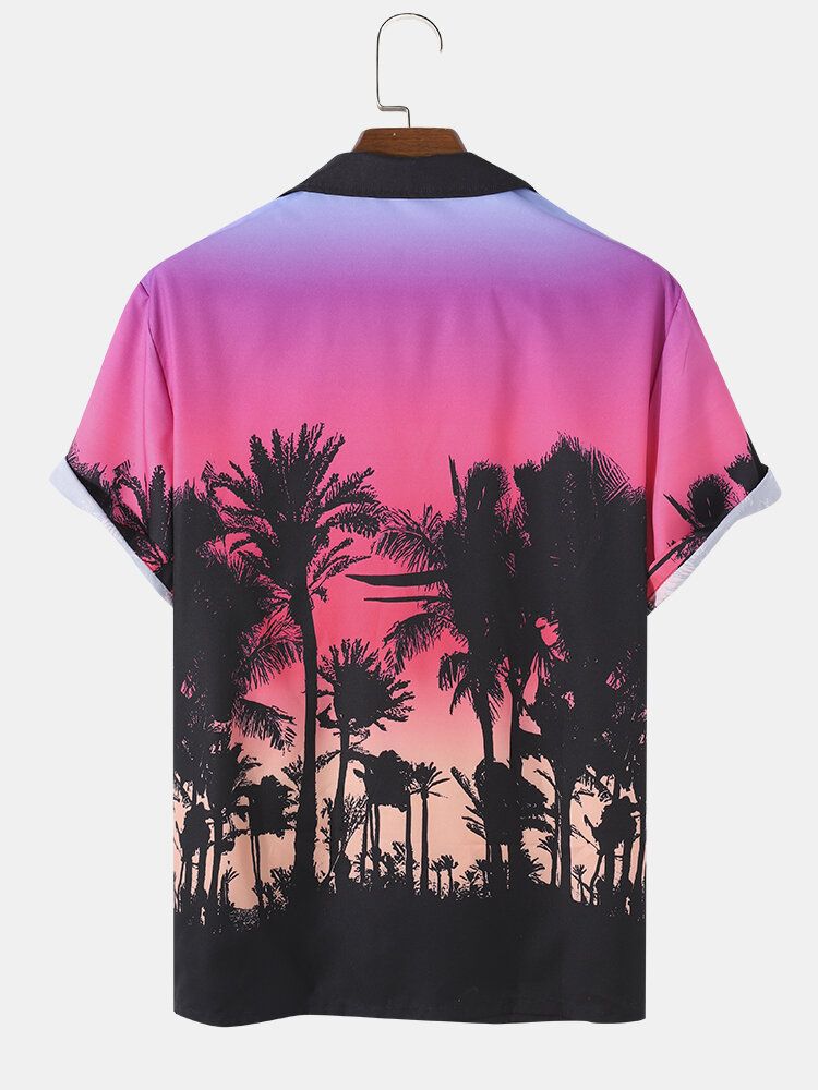 Camisa De Manga Corta Con Cuello Reverente Y Estampado De Atardecer De Coconut Grove Para Hombre