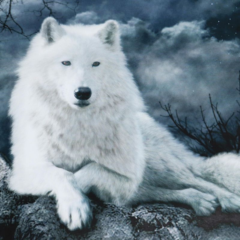 Pinturas De Pared De Lienzo De Piedra De Lobo Blanco Imágenes Sin Marco Arte Decoración Del Hogar