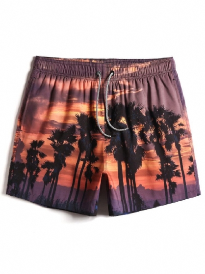 Pantalones Cortos Holgados De Tabla De Vacaciones Con Cintura Con Cordón Y Estampado De Paisaje De Playa Para Hombre