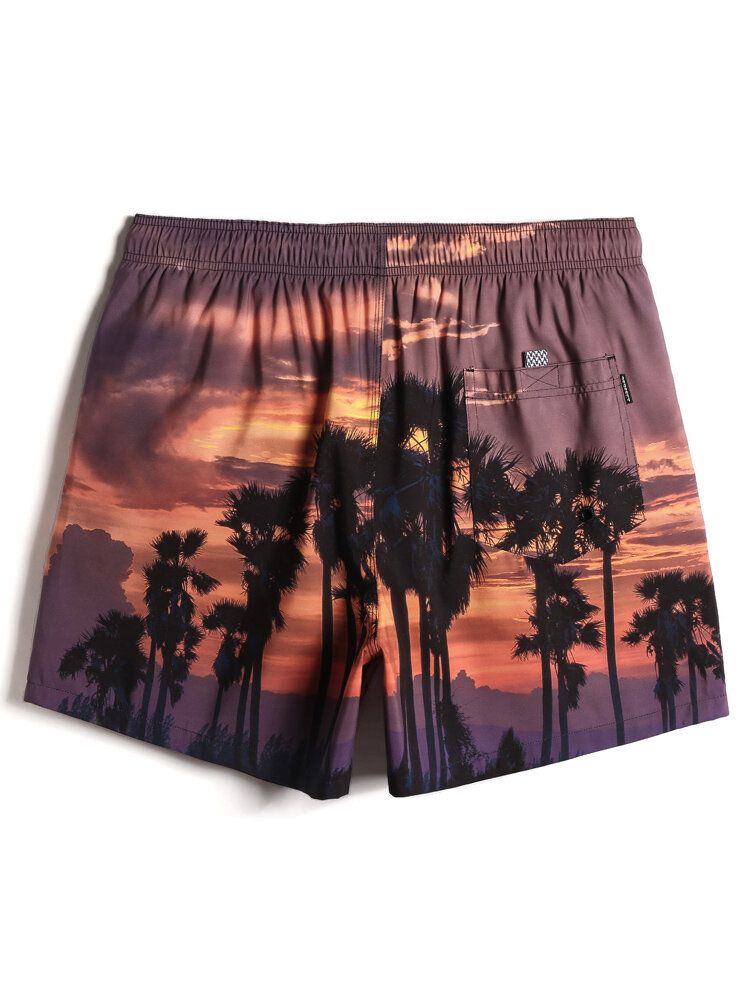 Pantalones Cortos Holgados De Tabla De Vacaciones Con Cintura Con Cordón Y Estampado De Paisaje De Playa Para Hombre