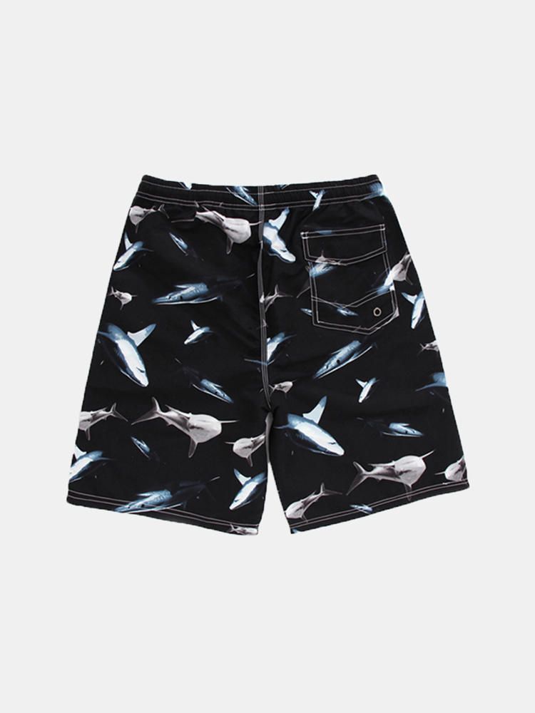 Pantalones Cortos De Playa Con Estampado De Tiburones De Moda Para Hombre Pantalones Cortos Deportivos Sueltos De Secado Rápido