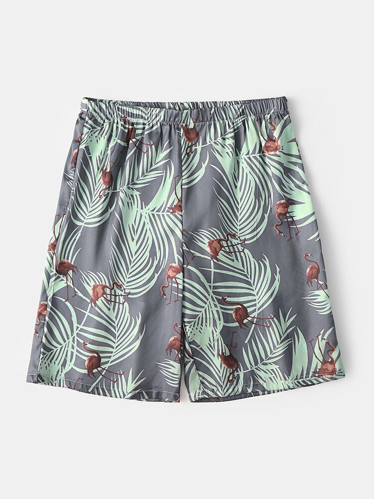 Pantalones Cortos De Pijama Casuales Finos Con Estampado De Flamencos Y Hojas Tropicales Para Hombre