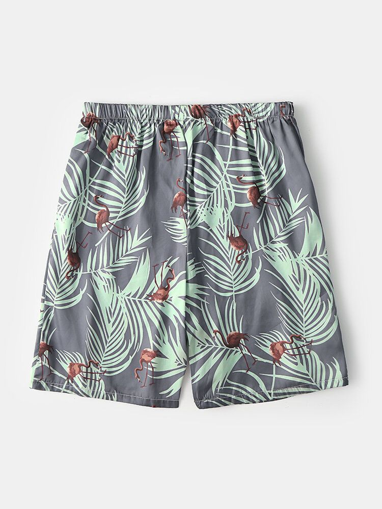 Pantalones Cortos De Pijama Casuales Finos Con Estampado De Flamencos Y Hojas Tropicales Para Hombre