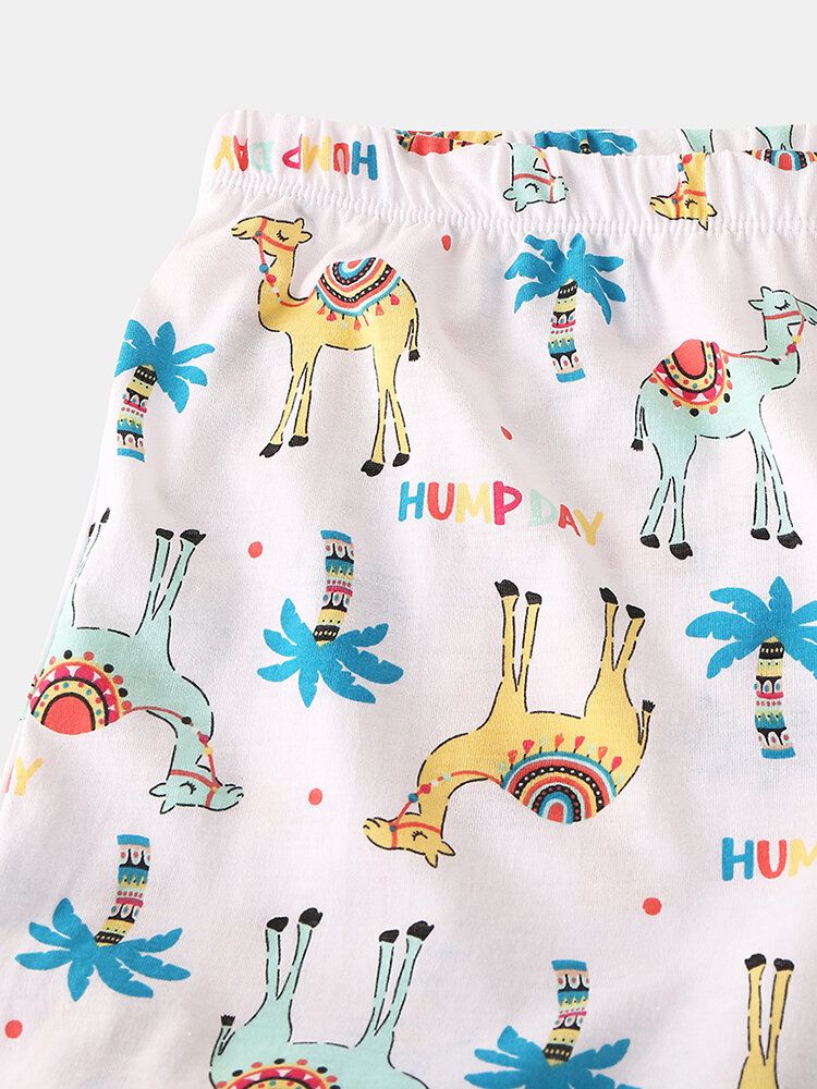 Talla Grande Mujer Funny Cartoon Animal Alpaca Print Manga Corta Softies Home Pijama Set