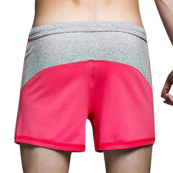 Pantalones Cortos De Fitness De Empalme De Bloqueo De Color De Algodón Para Hombre