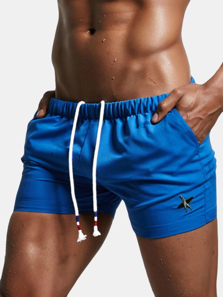 Pantalones Cortos De Playa Deportivos Para Correr Para Hombres De Verano Pantalones Cortos Casuales De Color Sólido Elásticos Para Surf Y Gimnasio