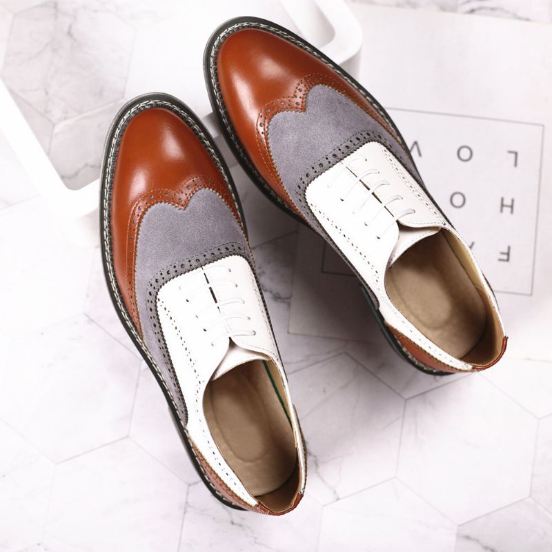 Hombres Brogue Colorblock Oxfords Con Cordones Zapatos Formales Informales De Negocios