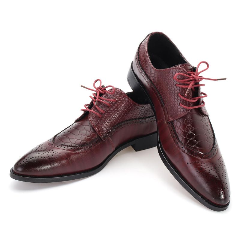 Zapatos De Vestir De Punta Puntiaguda Clásicos Tallados Brogue Modernos Para Hombres